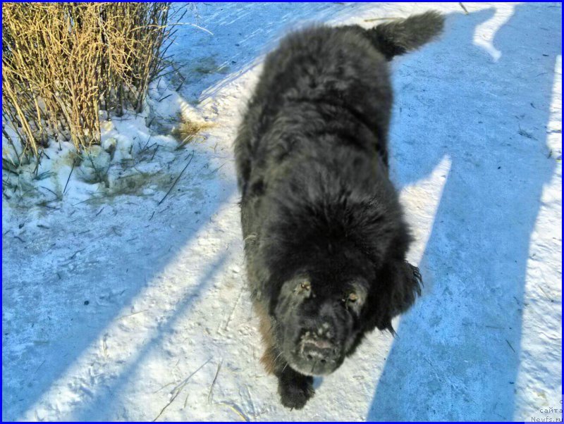 Фотография № 174174