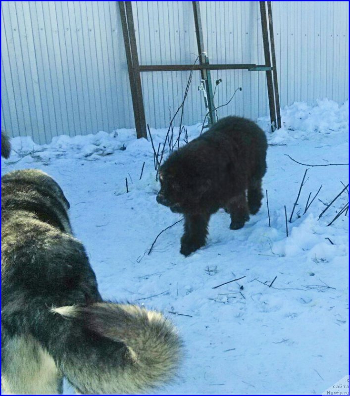 Фотография № 174193