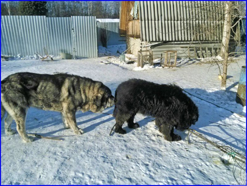 Фотография № 174194