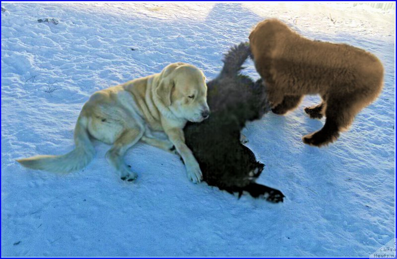 Фотография № 174198