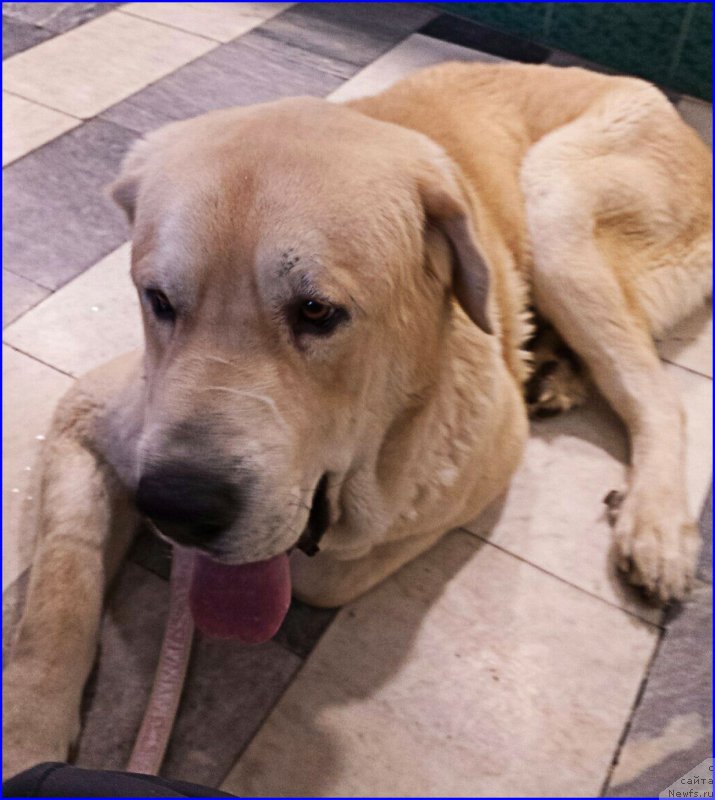 Фото: Лена Зырина, ФРАНКО