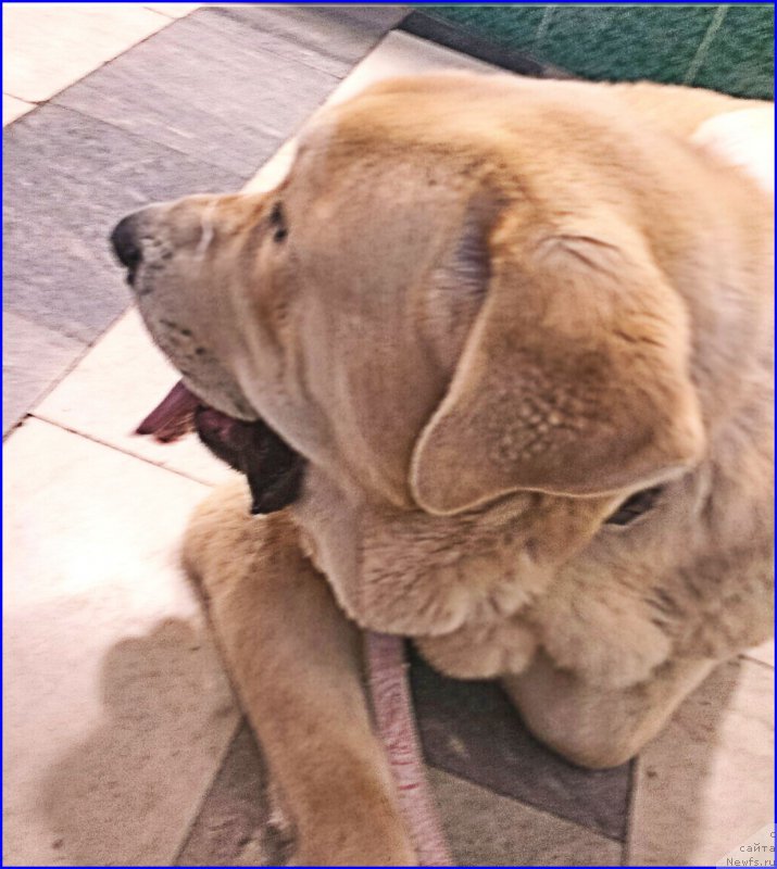 Фото: Лена Зырина, ФРАНКО