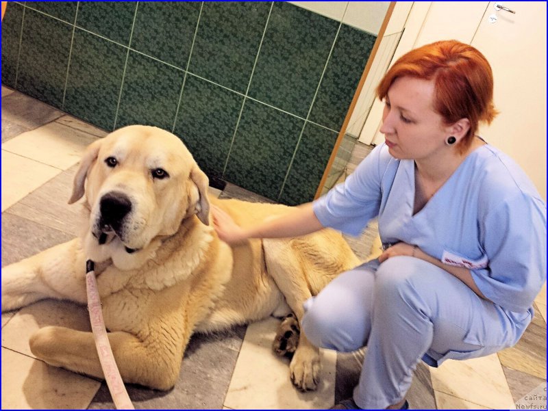 Фотография № 174205