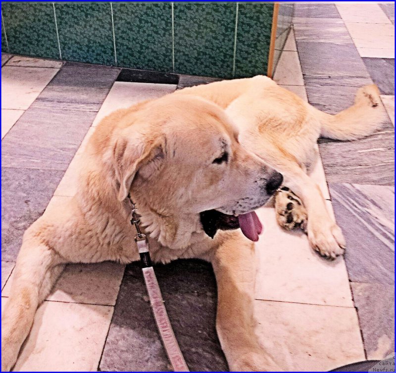 Фотография № 174211