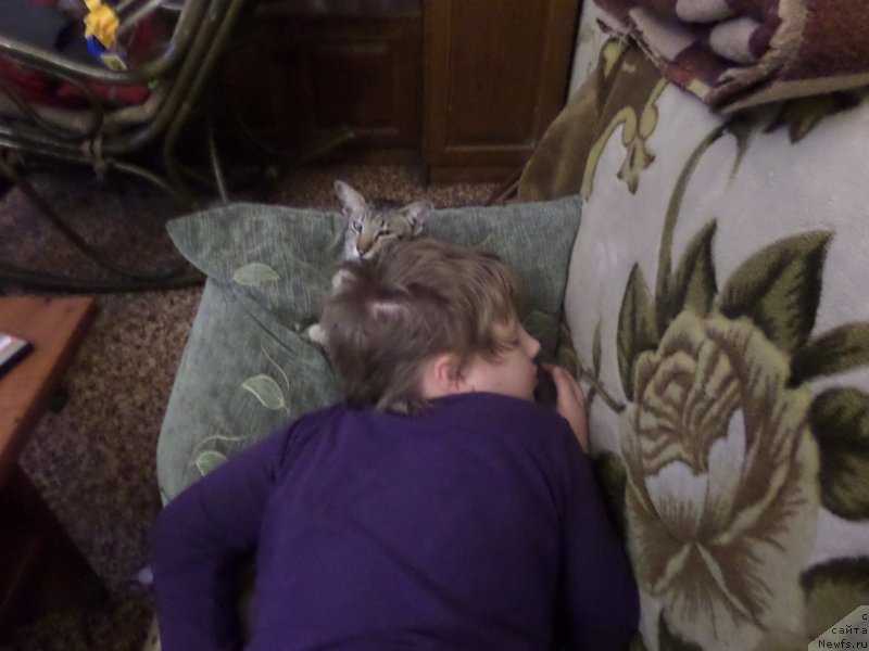 Фото: Сергей Жуков