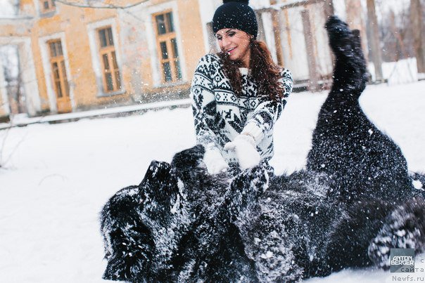 Фотография № 174220