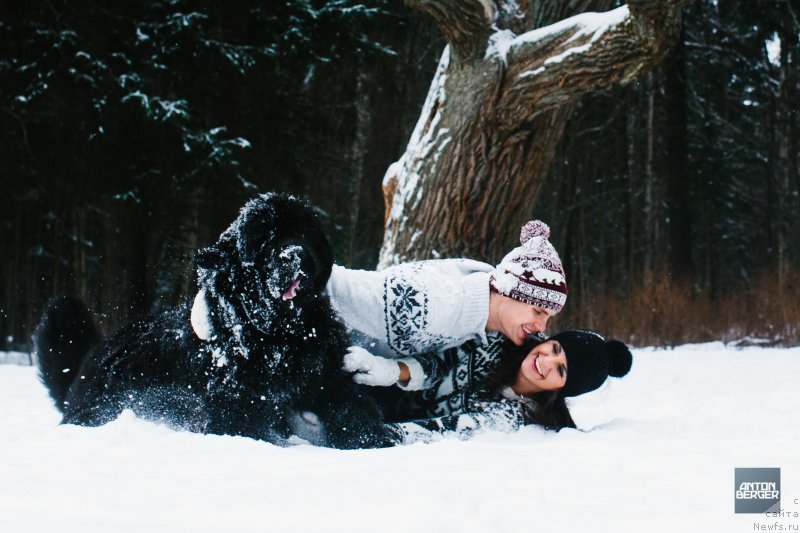 Фотография № 174225