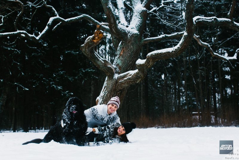 Фотография № 174226