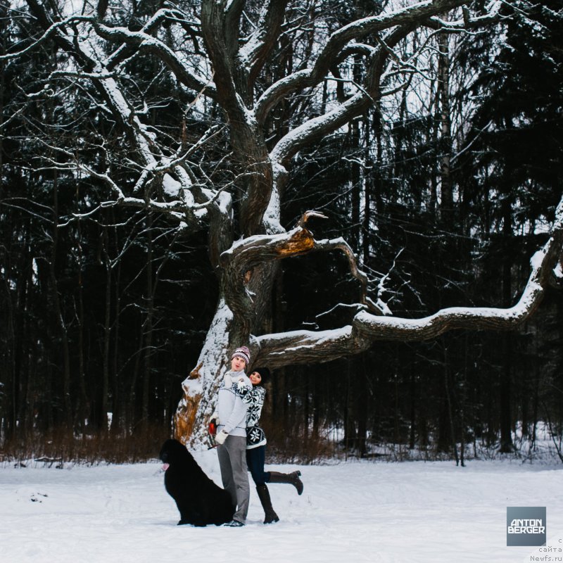 Фотография № 174228