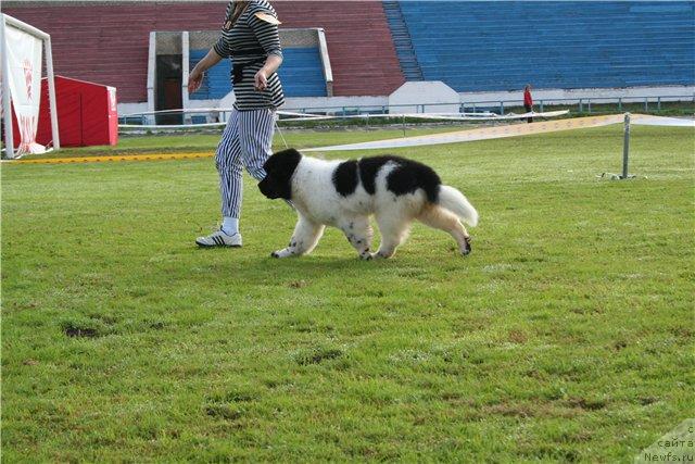 Фотография № 17424