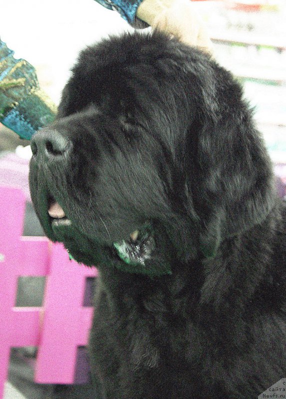 Фотография № 174244