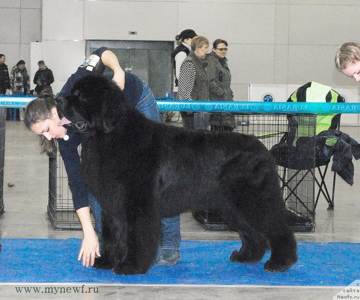 Фотография № 174246