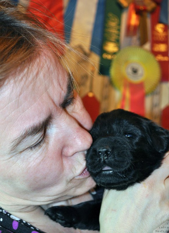 Фото: Марина Голубкова