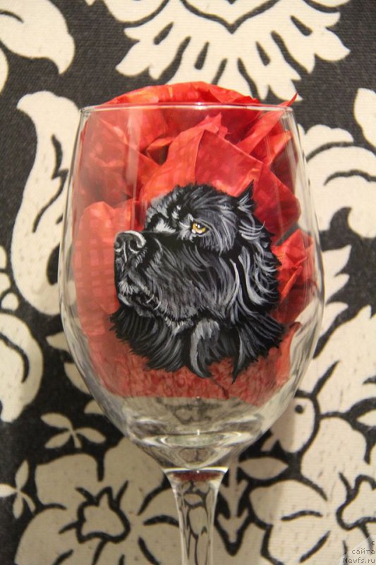 Фотография № 174256