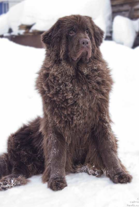 Фотография № 174262