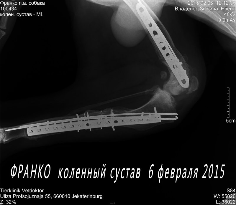 Фотография № 174268