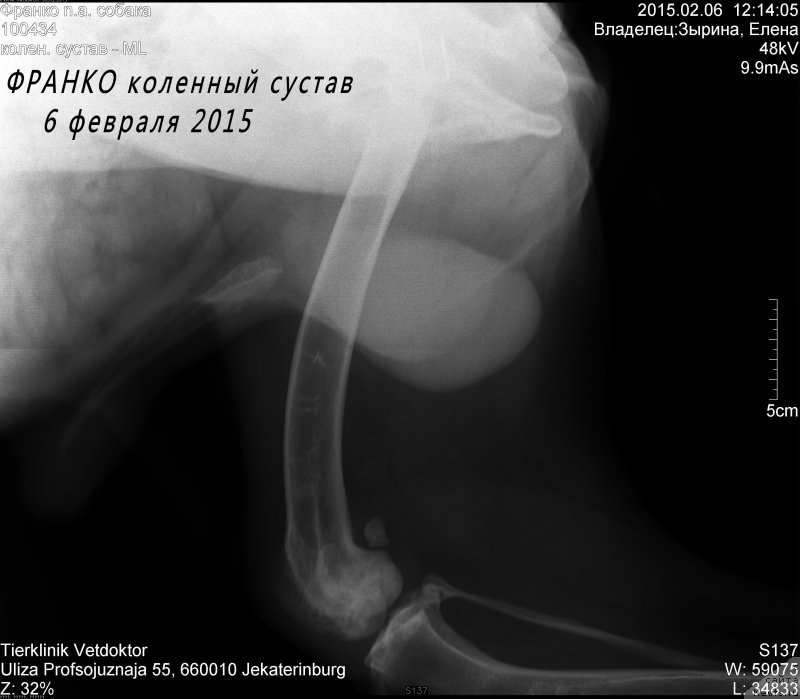 Фотография № 174269