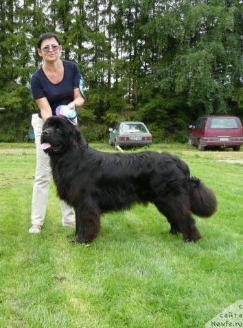 Фотография № 17428