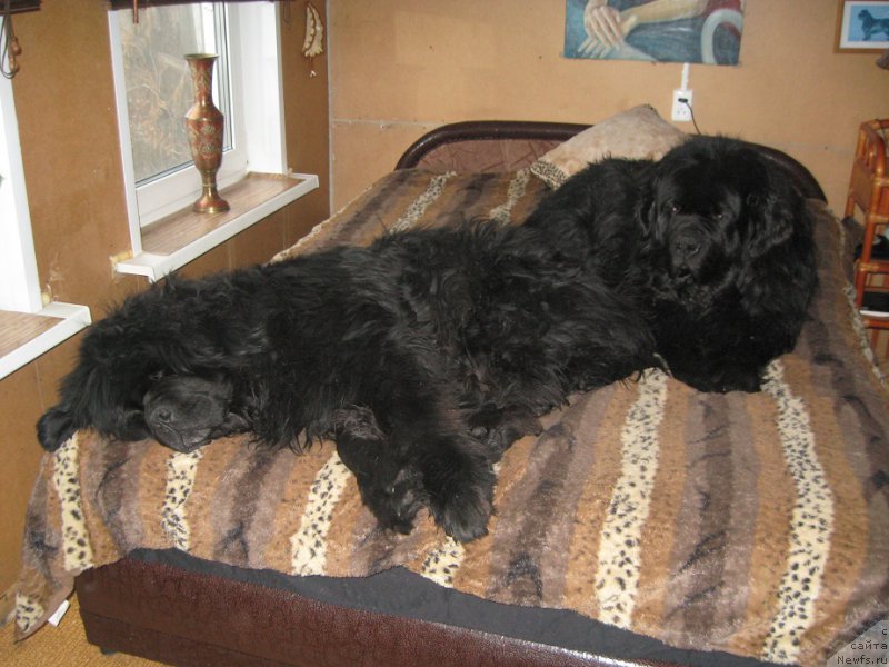 Фотография № 174290