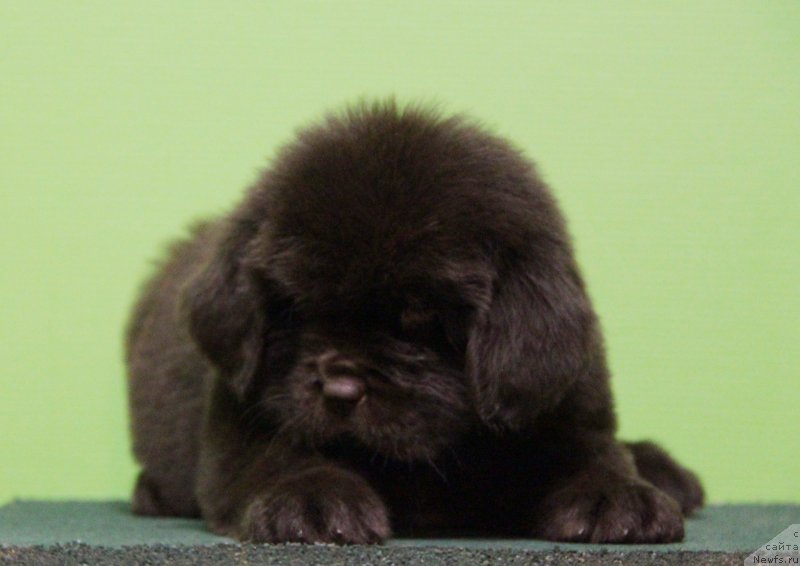 Фото: желтая нитка