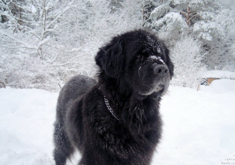 Фотография № 174310