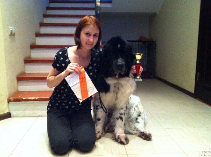 Фотография № 174311