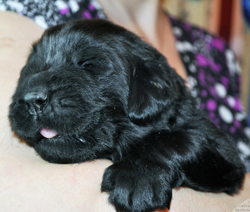 Фотография № 174313