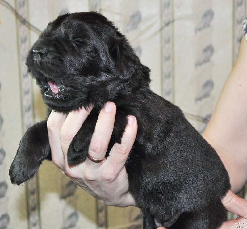 Фотография № 174318