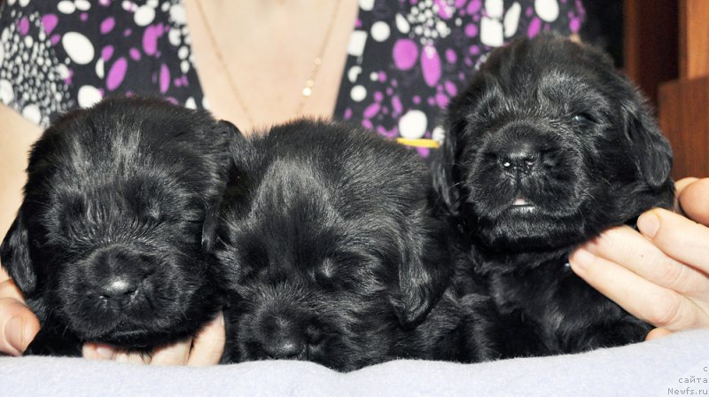 Фотография № 174321