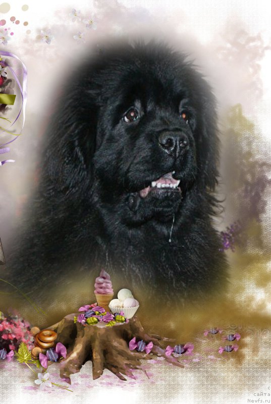 Фотография № 174324