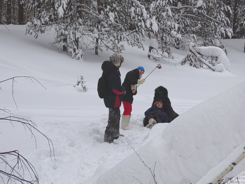 Фото: [d5667]Лиля