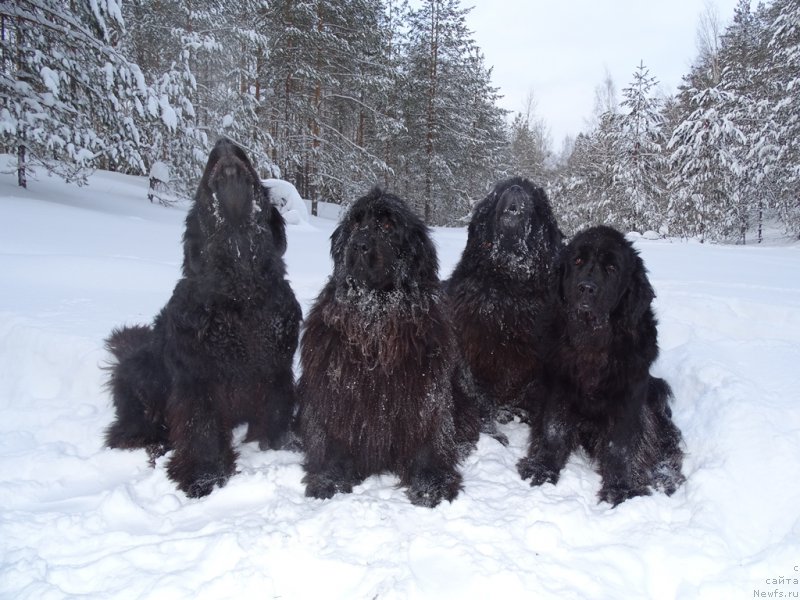 Фотография № 174345