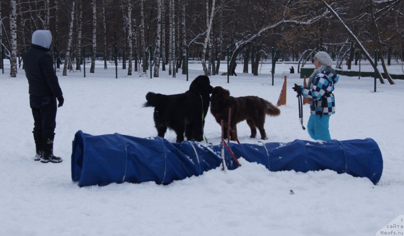 Фотография № 174348