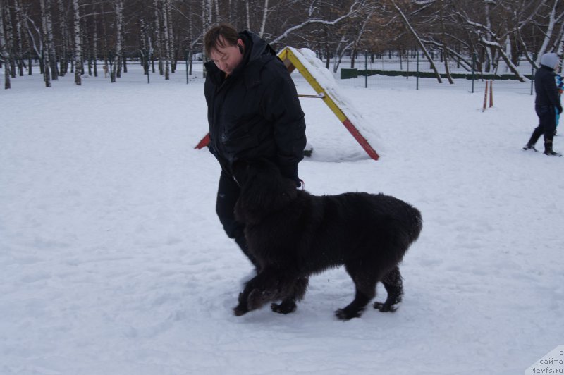 Фотография № 174349