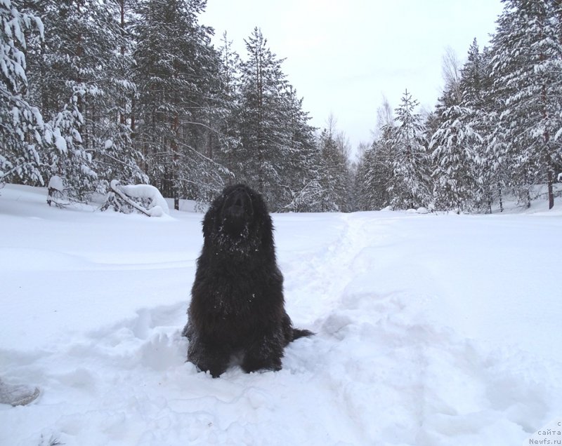 Фотография № 174352