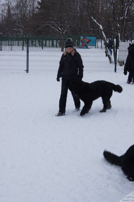 Фотография № 174353