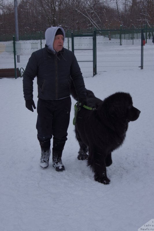 Фотография № 174355