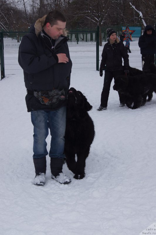 Фотография № 174356