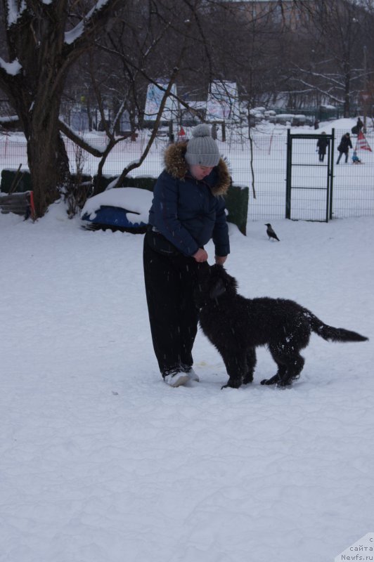 Фотография № 174359