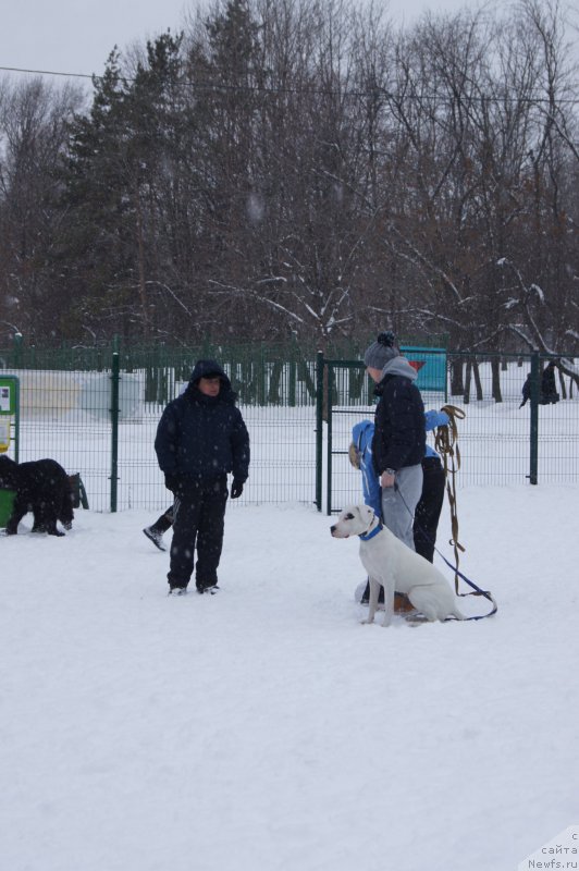 Фотография № 174360