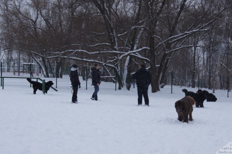 Фотография № 174362