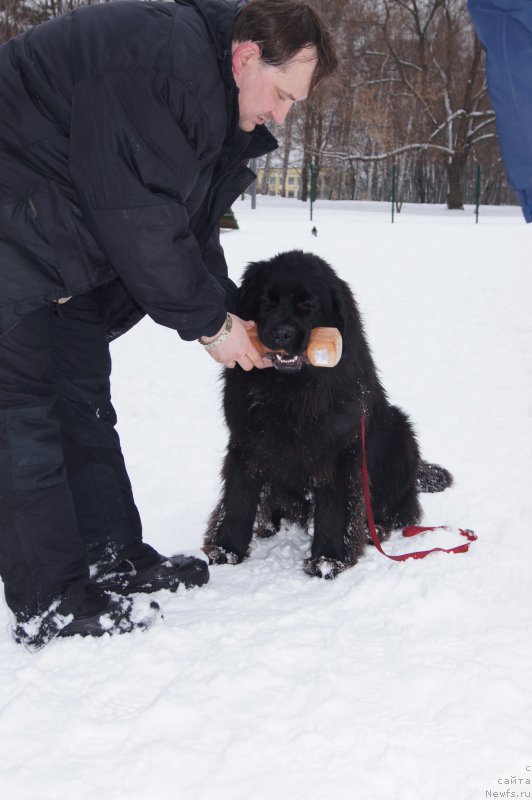 Фотография № 174363