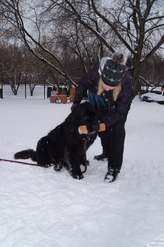 Фотография № 174364