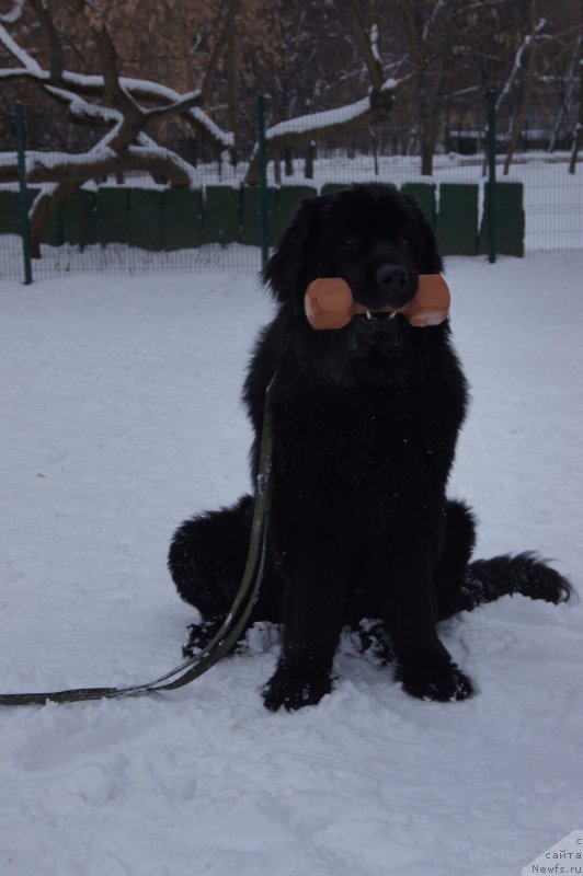 Фотография № 174366