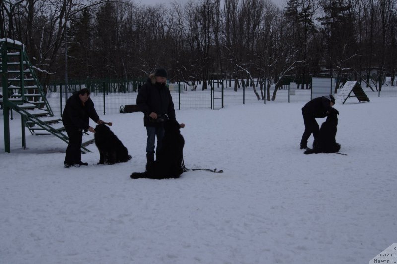 Фотография № 174367