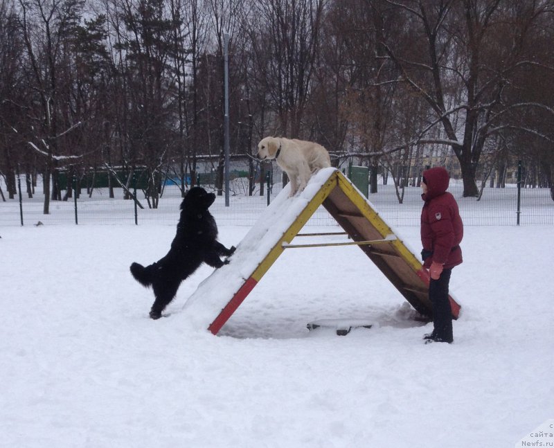 Фотография № 174370