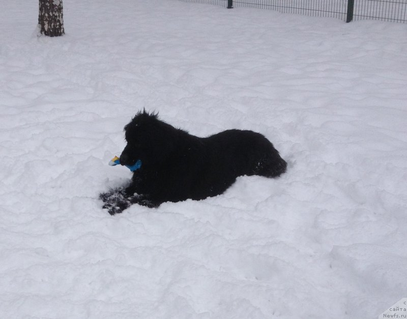 Фотография № 174372