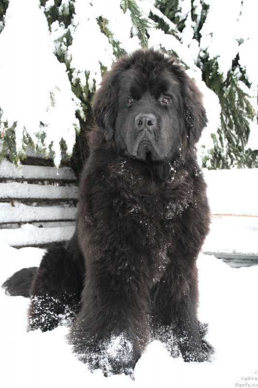 Фотография № 174407