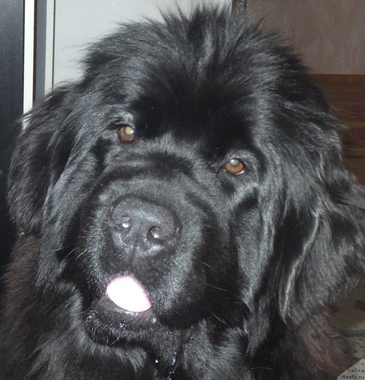 Фотография № 174429