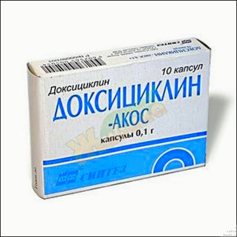 Фотография № 174460